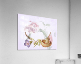 Fantastic Fungi Acrylic Print