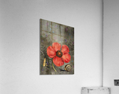 Poppy Snail Acrylic Print