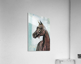Fancy Horse Acrylic Print