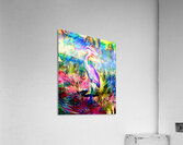 Naples Pond Heron Acrylic Print