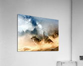 Howling Wolves Acrylic Print