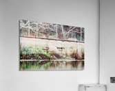 51AB78AD CEDA 4A0E B264 E44C17F70147 Acrylic Print