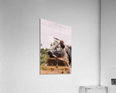 Be A Beast Acrylic Print