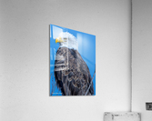 His Majesty Impression acrylique