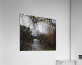 Lonely walk 3 Acrylic Print