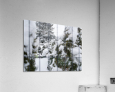 Snow days 8 Acrylic Print