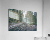 Lonely walk 9 Acrylic Print