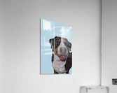 walter we miss you Acrylic Print