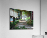 Along the Lake Acrylic Print