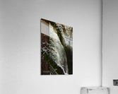 Blown Snow Acrylic Print