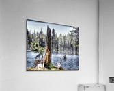 A Day on the Lake Acrylic Print