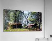 Cedar Grove Oil Painting Acrylic Print