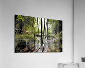 Creek Crossing Acrylic Print