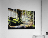 Cedar Trail Sly Park Road Acrylic Print