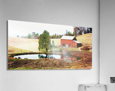 Cattle Pond Acrylic Print