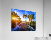 0D0CA5EA EA25 4479 83A6 5E67438A392C Acrylic Print