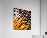 3A4CEFB2 39F6 43D3 A5C5 E65BD1F72E11 Acrylic Print