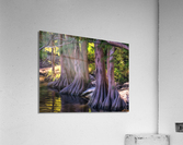 09F7C077 F323 47CC A3B3 C9ED6A07C8BF Acrylic Print