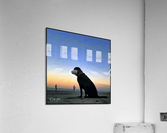 Dog Sunset Acrylic Print