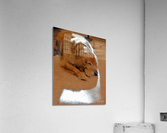 At Days End Acrylic Print