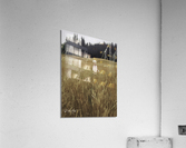 Beautiful Boy Acrylic Print