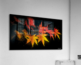 Fall Flame Acrylic Print