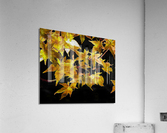 Autumn s Touch Acrylic Print