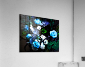 Blue Hue Acrylic Print