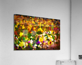 Desert Dream Acrylic Print