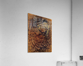 Elephant skin Acrylic Print