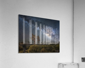 Joshua and the sky  Acrylic Print