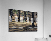 A Lonely bench  just waiting  Acrylic Print