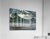 Before the Storm  Acrylic Print
