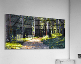 Tranquil Path  Acrylic Print