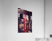 IMG_2021 Acrylic Print