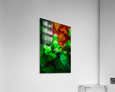 Colorful Leaves Acrylic Print