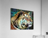 His Majesty Acrylic Print
