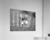 BW   Candid Retrospective 2001   The Rock 3 of 3   HC Stanek   Rare Limited Edition  Acrylic Print