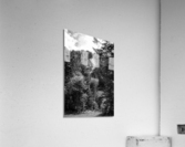 BW Serenity Found in the Alps of Switzerland 3 of 3   HC Stanek   Rare Limited Edition  Acrylic Print