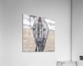 Frosted Eye Shadow Acrylic Print