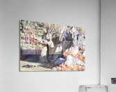 JPT 1617 Acrylic Print