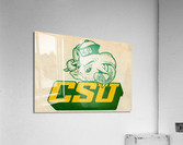1965 Colorado State Rams Art Acrylic Print