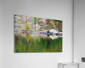 Northern Canada Reflections Acrylic Print