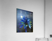 Lunar Palm Serenity Acrylic Print