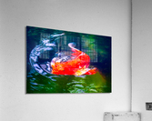 Bubbles Acrylic Print