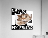 cat posteljina Acrylic Print