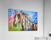 Crazy Horse. Annie F Acrylic Print