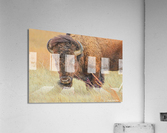 Breezy Acrylic Print