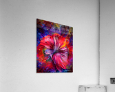 Spiritual Chakra Hibiscus  Acrylic Print