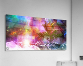 Octavias Moon Acrylic Print